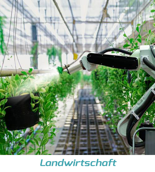 Landwirtschaft